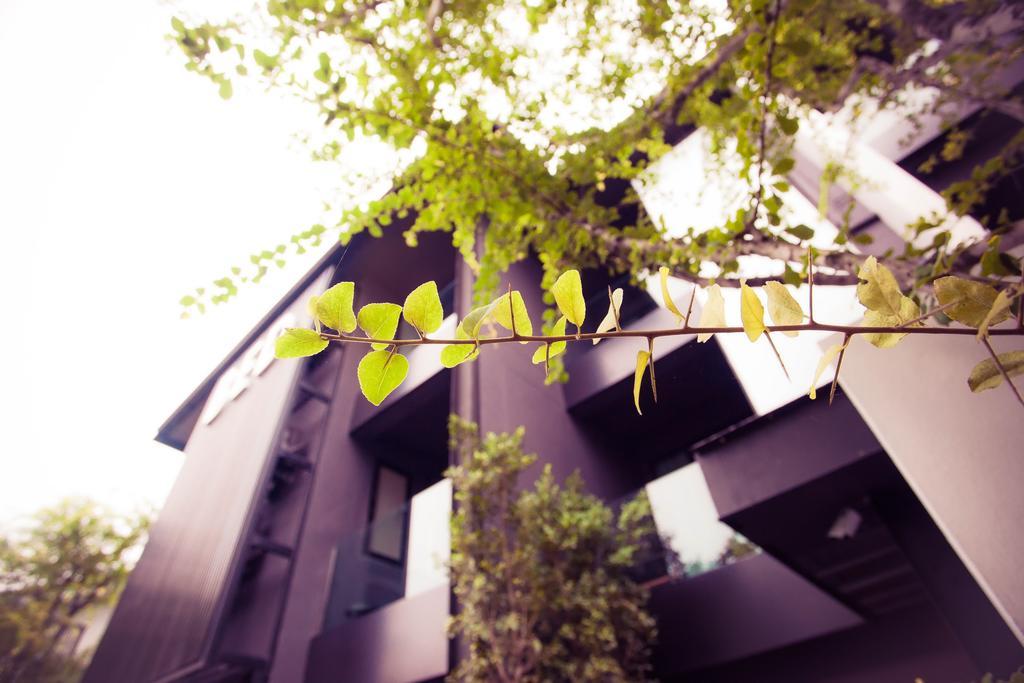 Bed Phrasingh-Adults Only Hotell Chiang Mai Exteriör bild